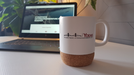 Uniblog: Ein weiteres Treffen mit der YDEAS